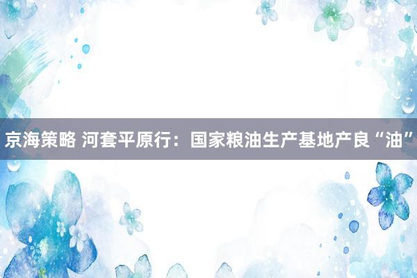 京海策略 河套平原行：国家粮油生产基地产良“油”