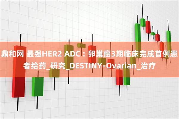 鼎和网 最强HER2 ADC : 卵巢癌3期临床完成首例患者给药_研究_DESTINY-Ovarian_治疗