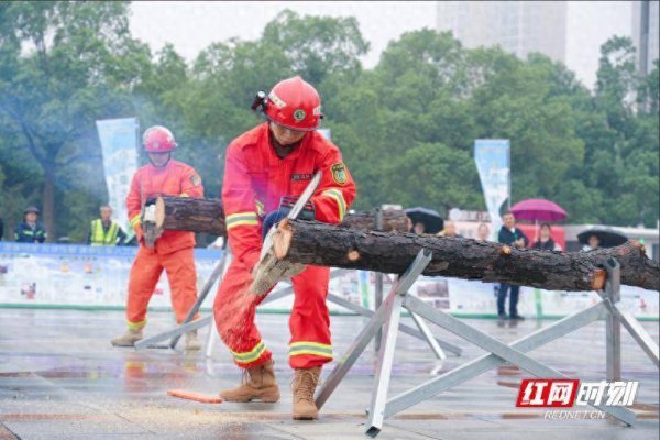 宏粤配资 岳阳市举办基层林长暨森林防火业务培训班